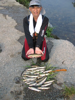 �����Ŕ�ꂫ�������TOMO