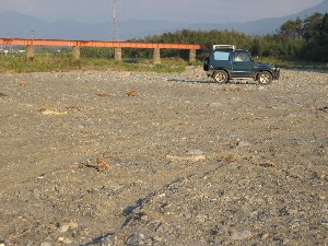 �����炯�ɂȂ��Ă��܂����쌴