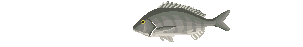 �`�k�A�j���[�V����