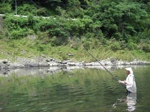 �g����ł̉j�����ނ�