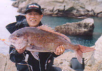 �}�_�C74.6cm5kg